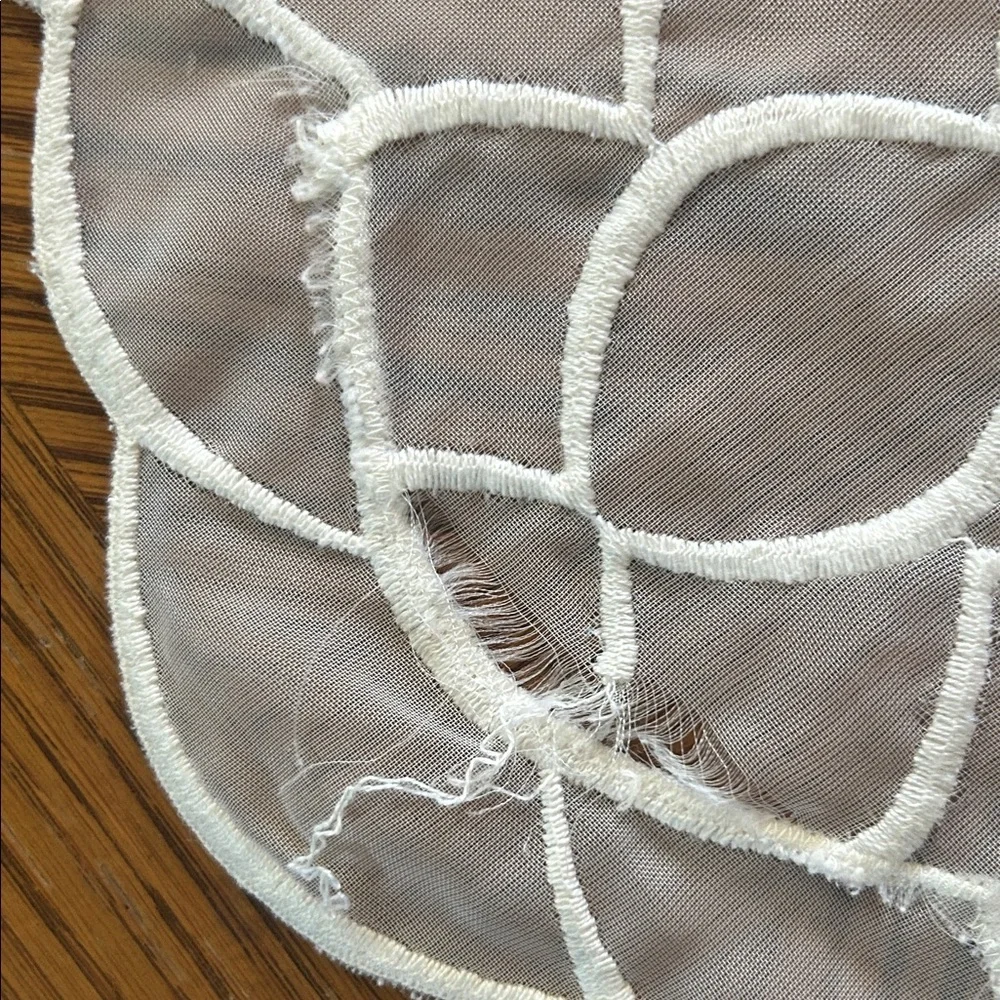 Vintage Embroidered Sheer Organza Doilies